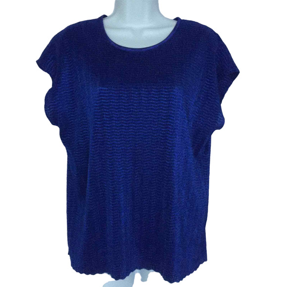 Notations Textured Blouse Top Women Sz L Blue Stretchy Sleeveless - Picture 1 of 11
